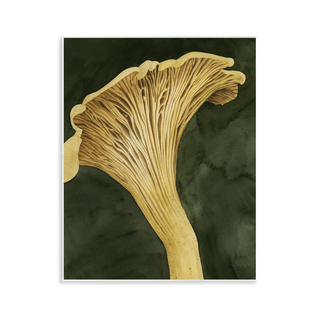 Stupell Industries Chantarelle Mushroom Sprout Wall Plaque By Grace Popp